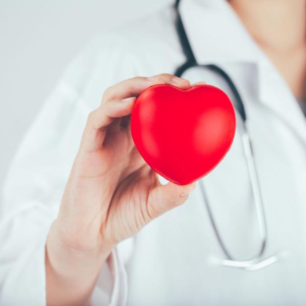 doctor holding a fake heart