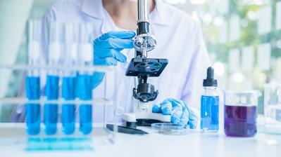 img of a lab