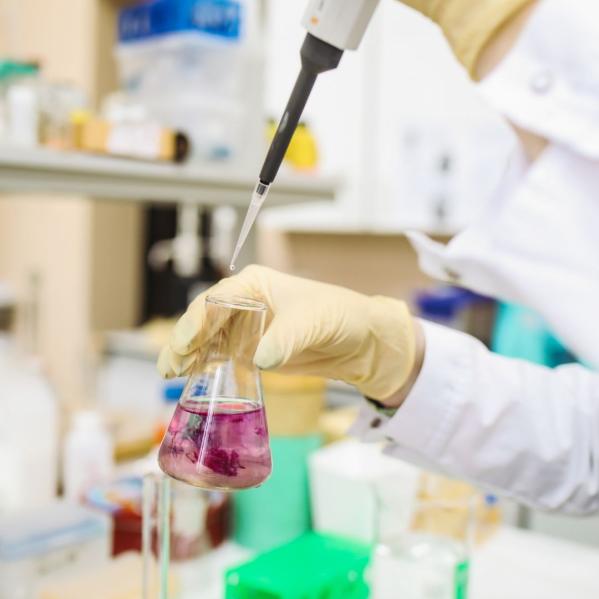 img of a lab