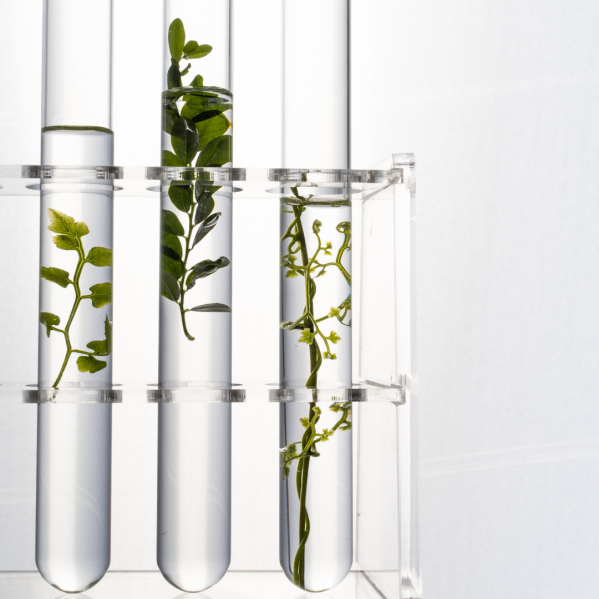 Food Testing Tubes