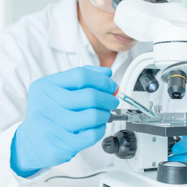 adding sample to slide