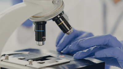 checking sample